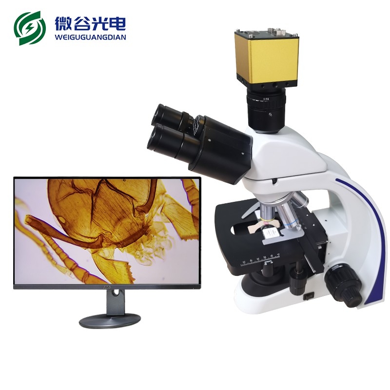 生物顯微鏡使用中常見的問(wèn)題及解決辦法